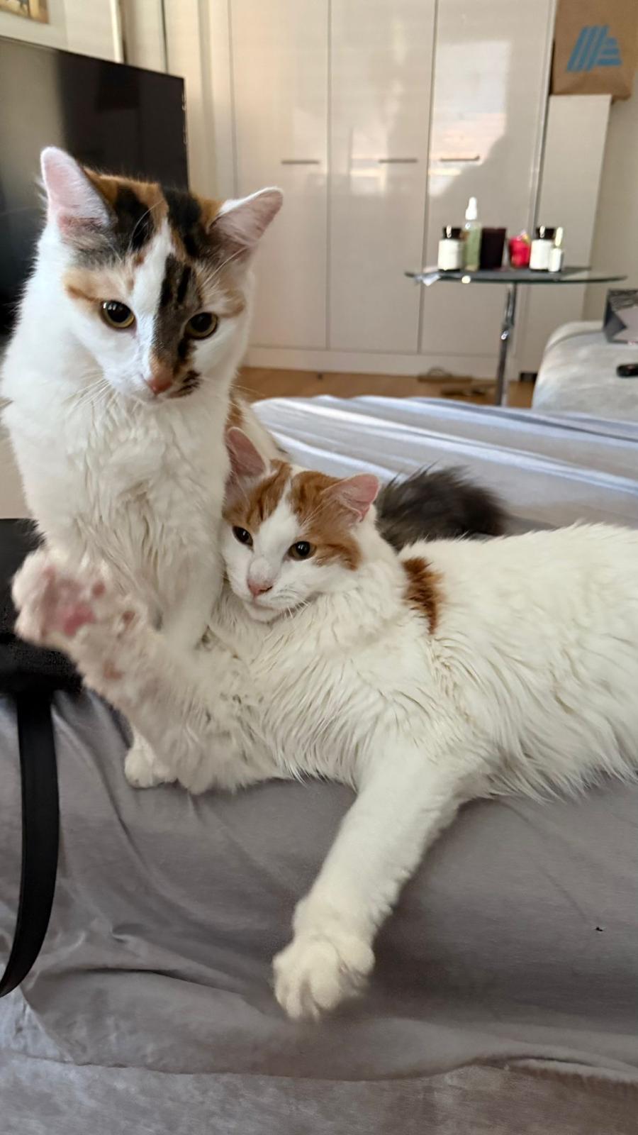 Loki and Lokiña